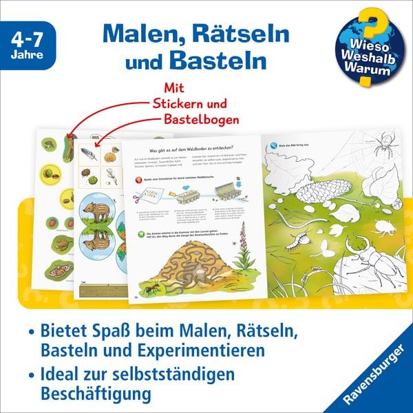 Wieso? Weshalb? Warum? aktiv-Heft - Wald